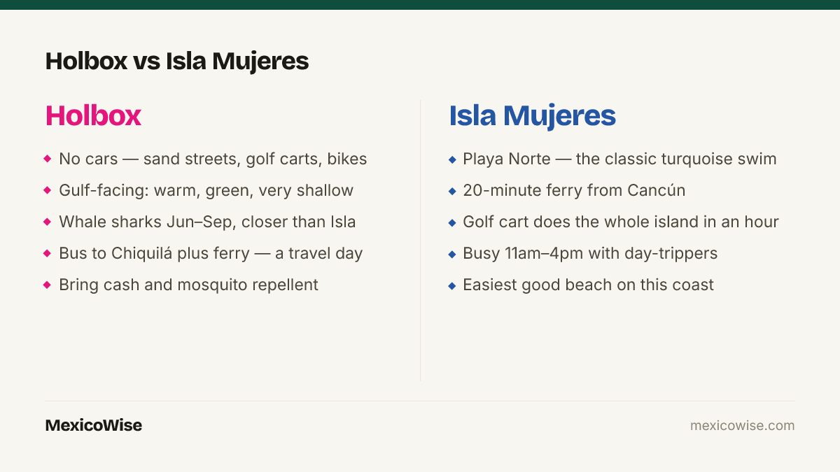 Holbox vs Isla Mujeres: Holbox is a car-free sandbar island facing the Gulf with warm shallow green water and whale sharks from June to September, reached by bus and ferry in about three hours; Isla Mujeres has Playa Norte, the classic turquoise Caribbean swimming beach, twenty minutes by ferry from Cancun.