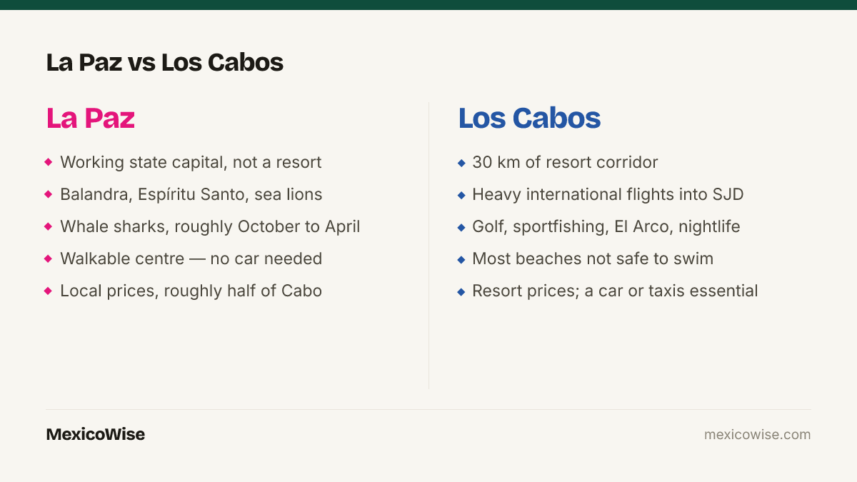 Comparison of La Paz and Los Cabos in Baja California Sur: La Paz is a walkable working state capital with Balandra beach, Espiritu Santo island and seasonal whale sharks at local prices; Los Cabos is a thirty-kilometre resort corridor with heavy international flights, golf and nightlife, mostly non-swimmable beaches and resort pricing.