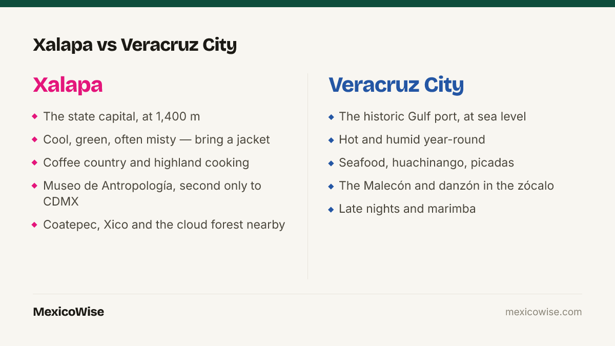 Xalapa vs Veracruz City: Xalapa is the state capital at 1,400 metres, cool and misty, known for coffee, highland cooking and the Museo de Antropologia; Veracruz City is the hot, humid Gulf port known for seafood, the Malecon, danzon in the zocalo and late nightlife.